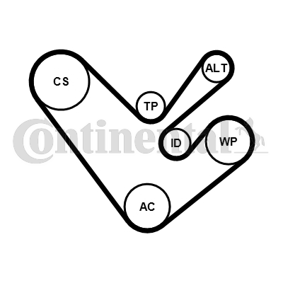 CONTINENTAL CTAM 6PK1555K4 Kit Cinghie Poly-V-Kit Cinghie Poly-V-Ricambi Euro