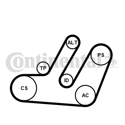 CONTINENTAL CTAM 6PK1580K1 Kit Cinghie Poly-V