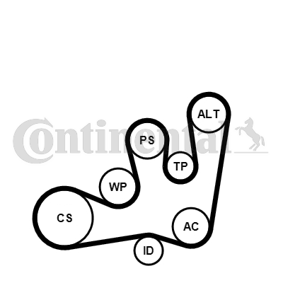 CONTINENTAL CTAM 6PK1642K1 Kit Cinghie Poly-V-Kit Cinghie Poly-V-Ricambi Euro