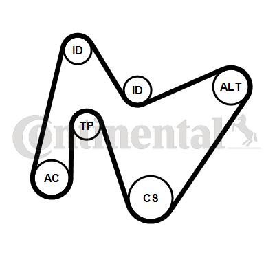CONTINENTAL CTAM 6PK1642K4 Keilrippenriemensatz