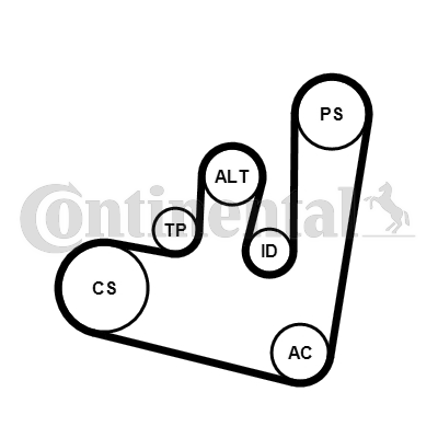 CONTINENTAL CTAM 6PK1660K1...