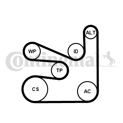 CONTINENTAL CTAM 6PK1660WP2 Wasserpumpe + Keilrippenriemensatz
