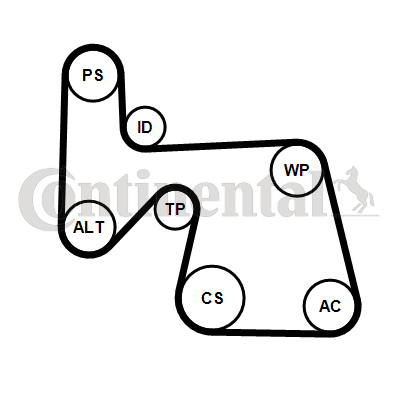 CONTINENTAL CTAM 6PK1670K1 Keilrippenriemensatz