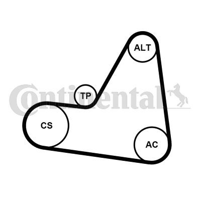 CONTINENTAL CTAM 6PK1680K1...