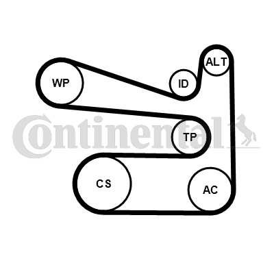 CONTINENTAL CTAM 6PK1693WP1 Pompa acqua + Kit cinghia Poly V