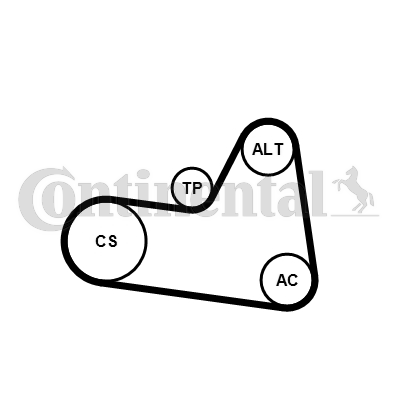 CONTINENTAL CTAM 6PK1710K1 Kit Cinghie Poly-V