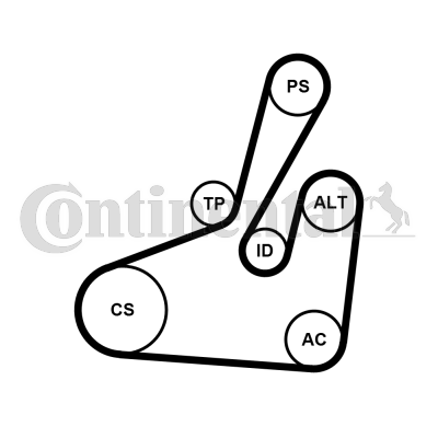 CONTINENTAL CTAM 6PK1710K2 Kit Cinghie Poly-V