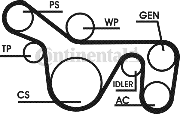 CONTINENTAL CTAM 6PK1720D1 Kit Cinghie Poly-V-Kit Cinghie Poly-V-Ricambi Euro