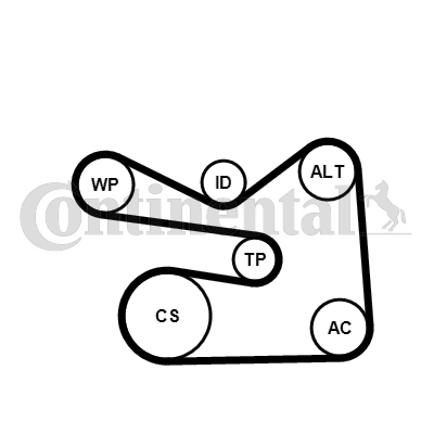 CONTINENTAL CTAM 6PK1733K3 Kit Cinghie Poly-V-Kit Cinghie Poly-V-Ricambi Euro