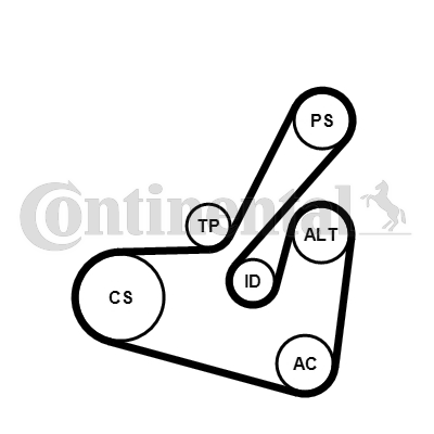 CONTINENTAL CTAM 6PK1750K1 Kit Cinghie Poly-V