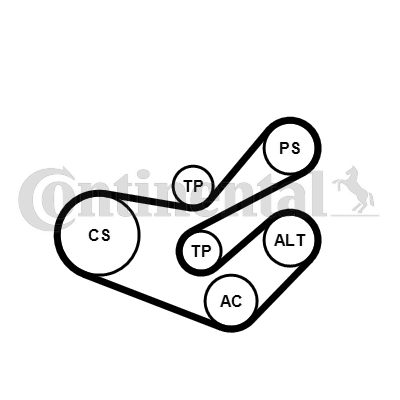 CONTINENTAL CTAM 6PK1750K3 Kit Cinghie Poly-V