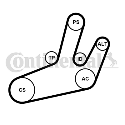 CONTINENTAL CTAM 6PK1780K1...