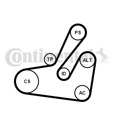 CONTINENTAL CTAM 6PK1795K2...