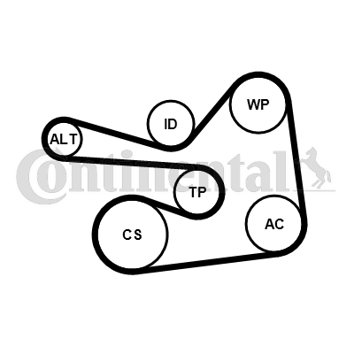 CONTINENTAL CTAM 6PK1830K1 Keilrippenriemensatz