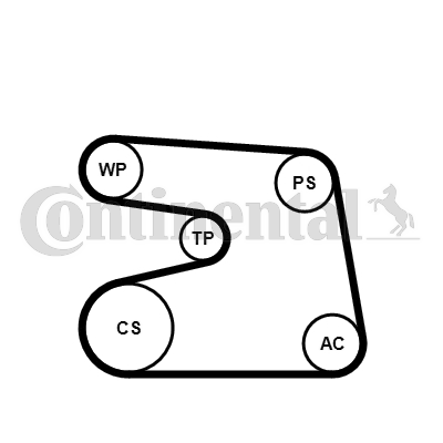 CONTINENTAL CTAM 6PK1873WP2 Pompa acqua + Kit cinghia Poly V