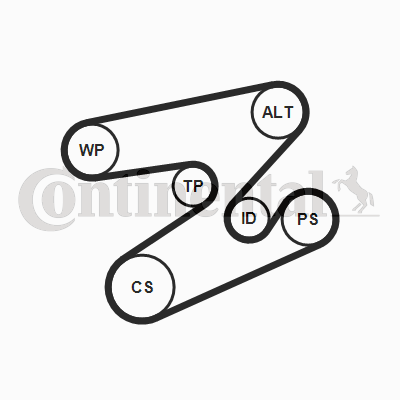 CONTINENTAL CTAM 6PK1893K1 Keilrippenriemensatz