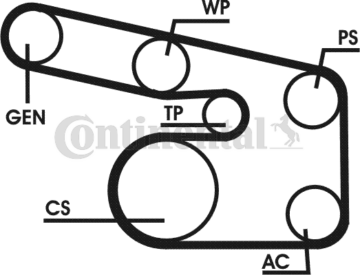 CONTINENTAL CTAM 6PK1900D1...