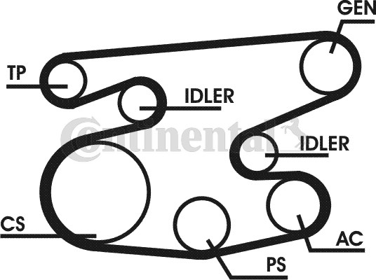 CONTINENTAL CTAM 6PK2215D1 Keilrippenriemensatz