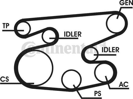 CONTINENTAL CTAM 6PK2236D1 Keilrippenriemensatz