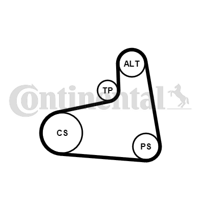 CONTINENTAL CTAM 6PK906K1 Kit Cinghie Poly-V-Kit Cinghie Poly-V-Ricambi Euro