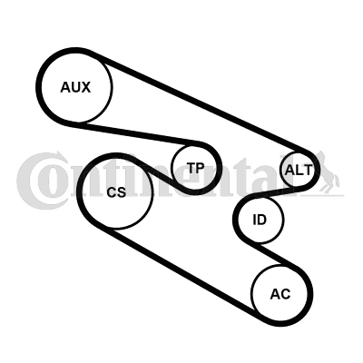 CONTINENTAL CTAM 7PK1104K1 Kit Cinghie Poly-V