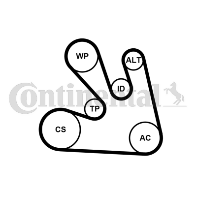 CONTINENTAL CTAM 7PK1705K1 Kit Cinghie Poly-V