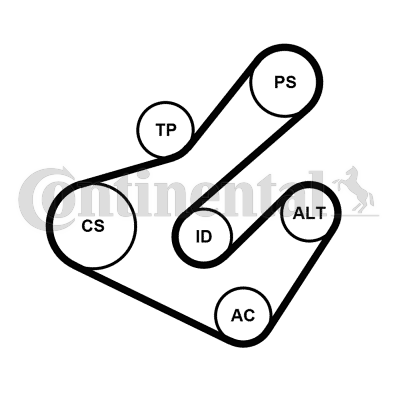 CONTINENTAL CTAM 7PK1795K2 Kit Cinghie Poly-V