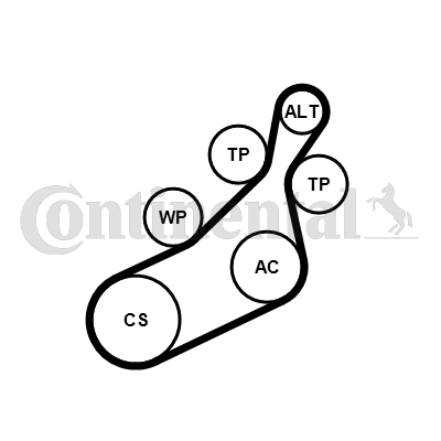 CONTINENTAL CTAM 8PK1122 EXTRA K1 Keilrippenriemensatz