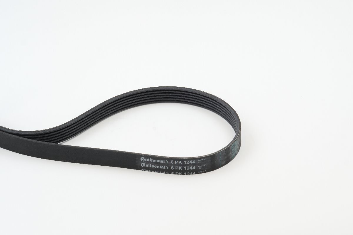 CONTINENTAL CTAM 6PK1244...