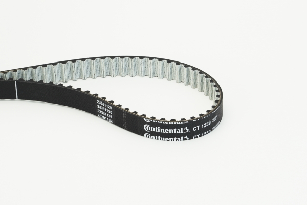 CONTINENTAL CTAM CT1239 Zahnriemen