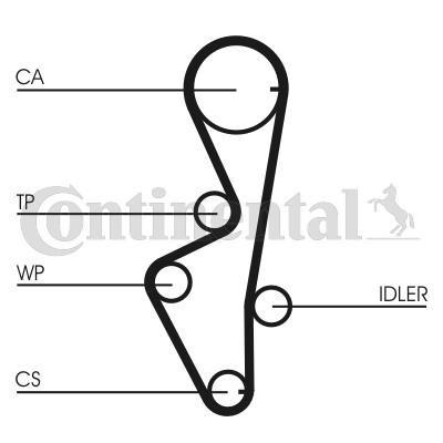 CONTINENTAL CTAM CT916 Zahnriemen