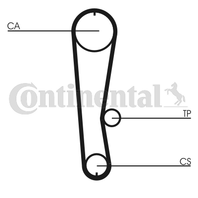 CONTINENTAL CTAM CT936 Zahnriemen