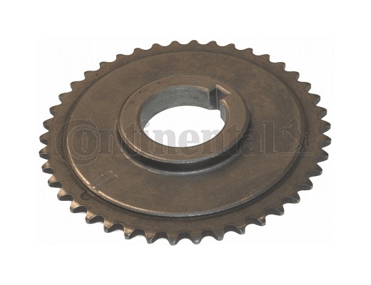 CONTINENTAL CTAM V3453041 Zahnrad, Kurbelwelle