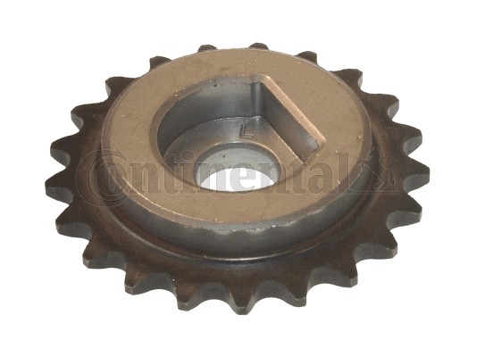 CONTINENTAL CTAM V3453042 Zahnrad, Ausgleichswelle