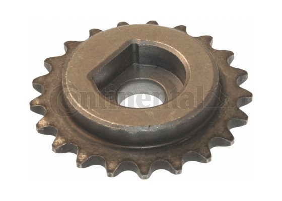 CONTINENTAL CTAM V3453043 Zahnrad, Ausgleichswelle