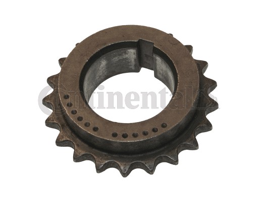 CONTINENTAL CTAM V3487008 Zahnrad, Kurbelwelle