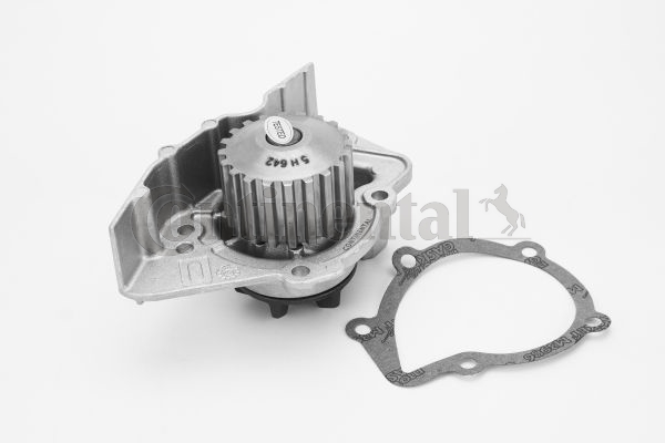 CONTINENTAL CTAM WP6121 Wasserpumpe, Motorkühlung