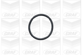 GRAF PA431 Water Pump, engine cooling for BMW