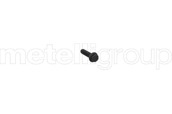 GRAF VVTGear26 Camshaft Adjuster