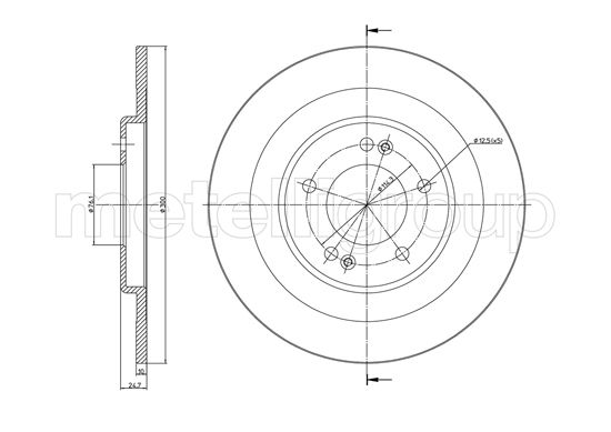 CIFAM 800-1387C Bremsscheibe