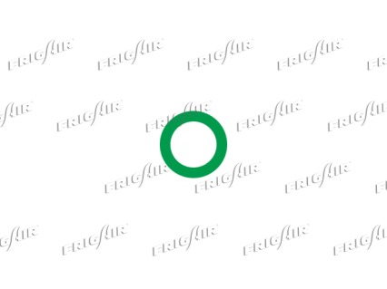 FRIGAIR 58.60022 