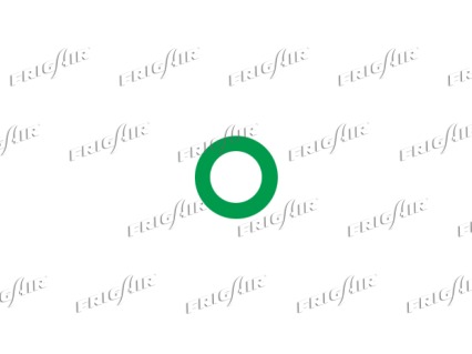 FRIGAIR 58.60033 