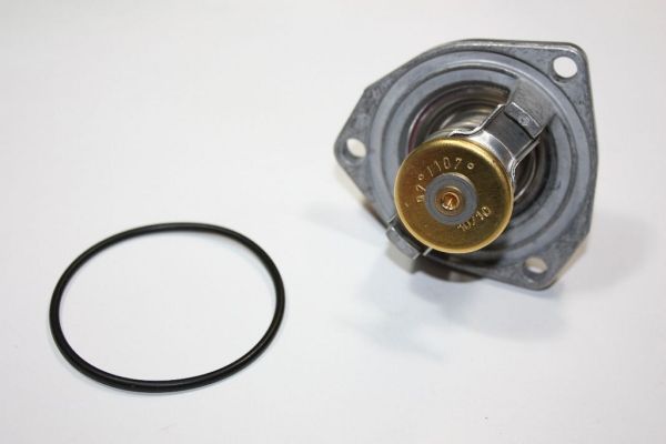 AUTOMEGA 160100010 Termostat chladenia