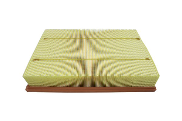 AUTOMEGA 180025810 Air Filter