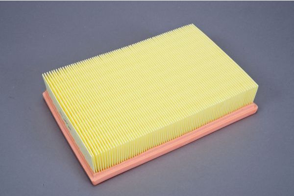 AUTOMEGA 180030210 Air Filter