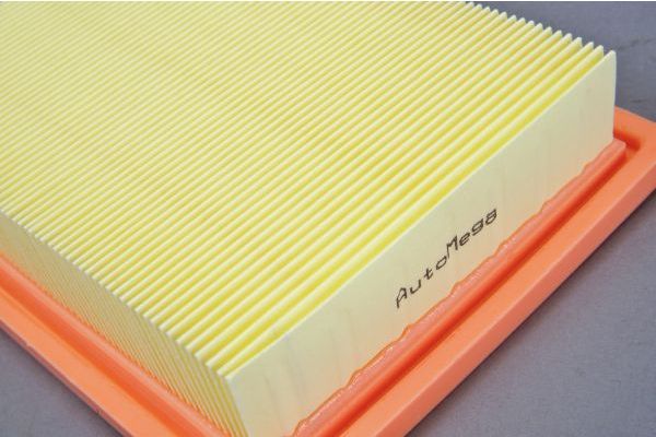 AUTOMEGA 180031010 Air Filter