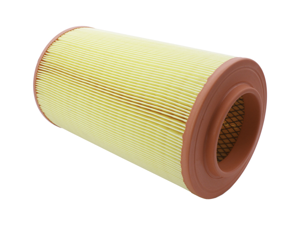 AUTOMEGA 180034410 Air Filter