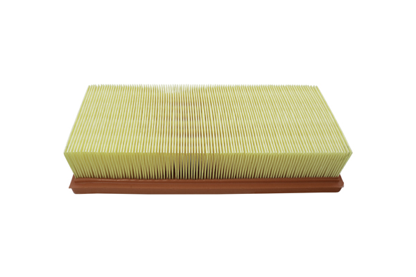 AUTOMEGA 180034510 Air Filter