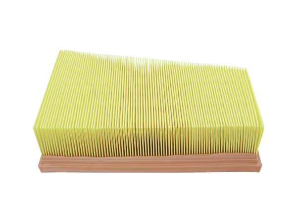 AUTOMEGA 180034910 Air Filter