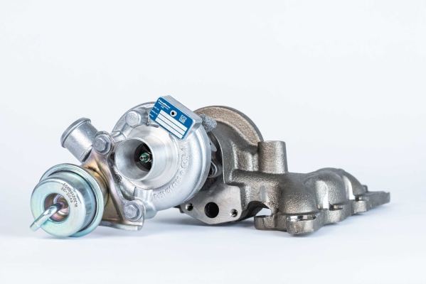 BorgWarner 54319880010 KP31...